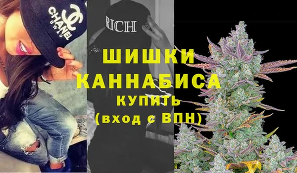 прущие крисы Алзамай