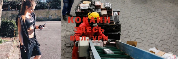 мет Алексин
