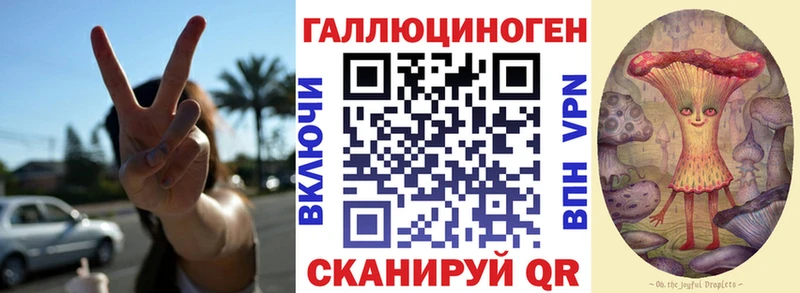 Купить  Сорск  Псилоцибиновые грибы GOLDEN TEACHER 